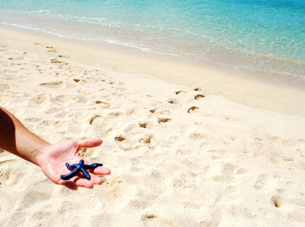 Taufua Beach Fales Lalomanu Eksteriør billede